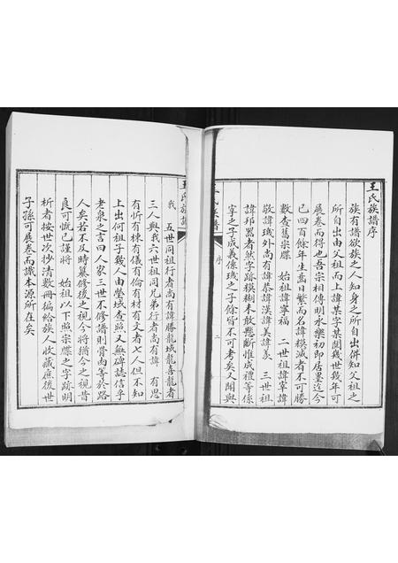 山东王氏-王氏族谱.pdf电子版预览图2