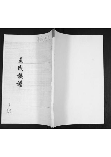 山东王氏-王氏族谱.pdf电子版缩略图