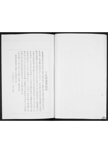 山东王氏-王氏族谱.pdf电子版预览图4