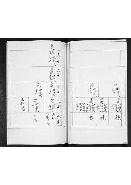 山东王氏-王氏族谱.pdf电子版预览图3