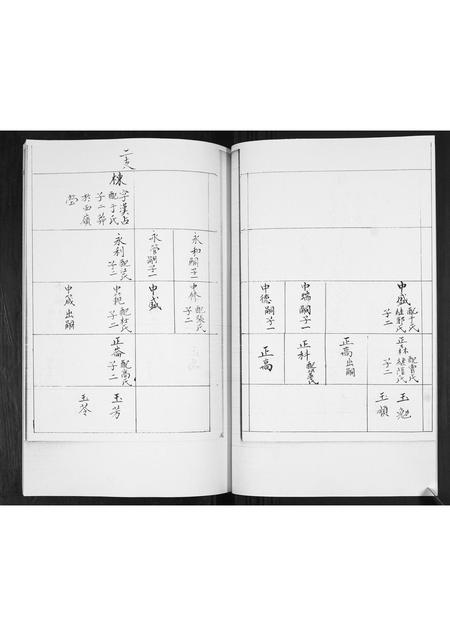 山东王氏-王氏族谱.pdf电子版预览图4