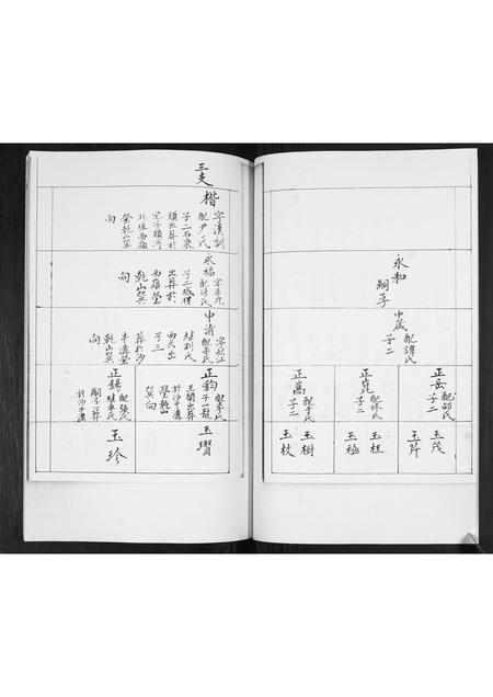 山东王氏-王氏族谱.pdf电子版预览图5