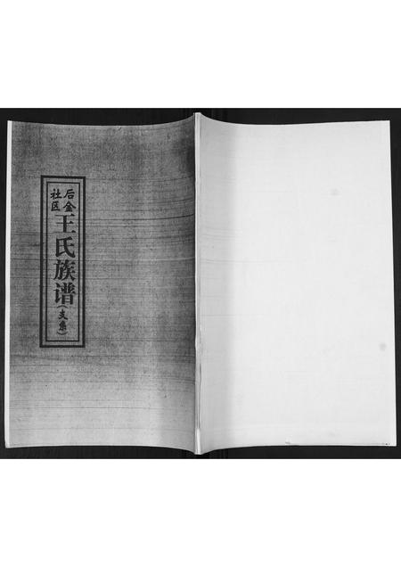 山东王氏-王氏族谱.pdf电子版缩略图