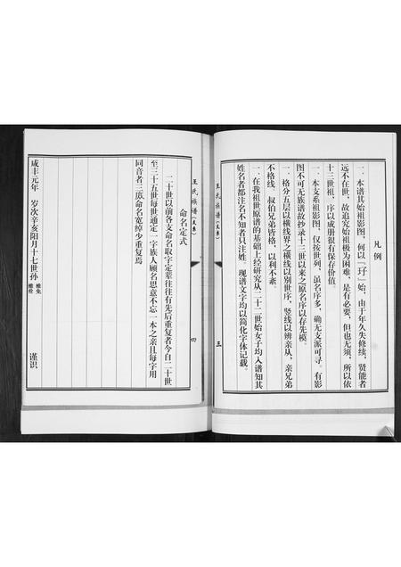 山东王氏-王氏族谱.pdf电子版预览图3