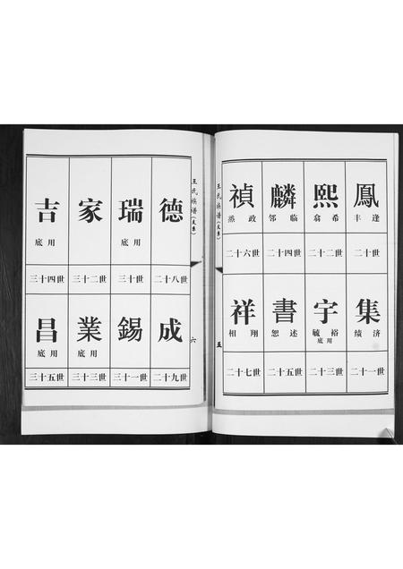山东王氏-王氏族谱.pdf电子版预览图4