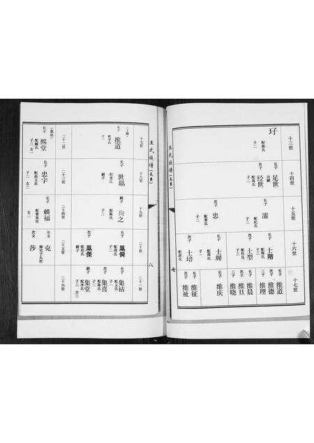 山东王氏-王氏族谱.pdf电子版预览图5