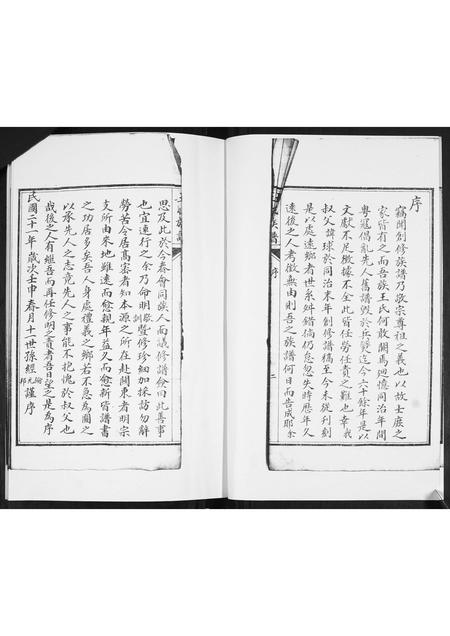 山东王氏-王氏族谱.pdf电子版预览图2