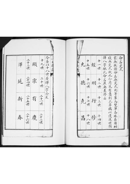 山东王氏-王氏族谱.pdf电子版预览图4