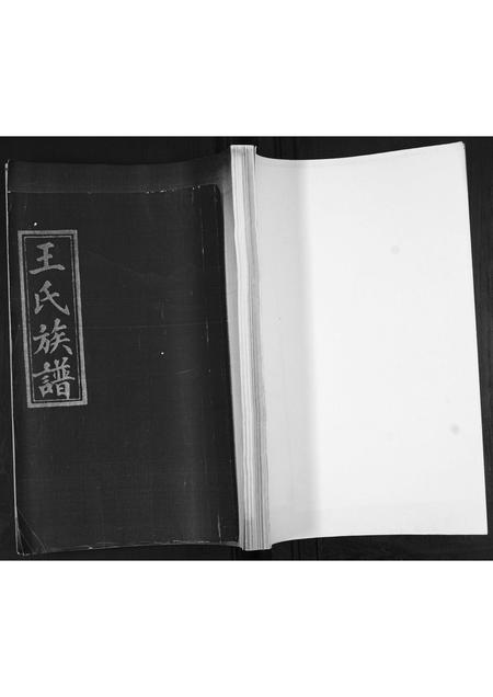 山东王氏-王氏族谱.pdf电子版缩略图