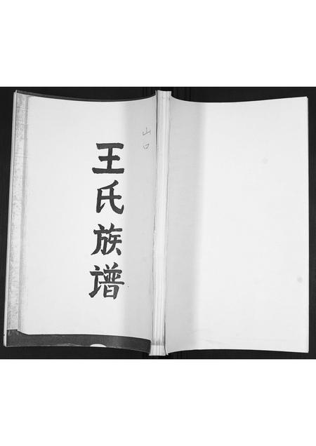 山东王氏-王氏族谱.pdf电子版缩略图