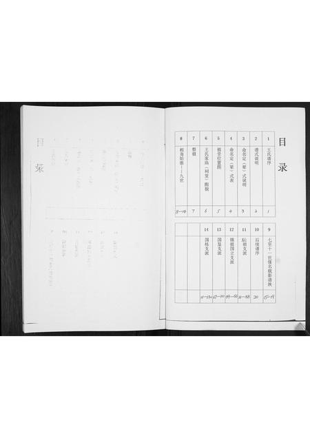 山东王氏-王氏族谱.pdf电子版预览图1