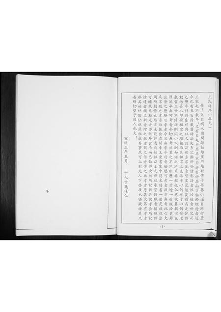 山东王氏-王氏族谱.pdf电子版预览图2