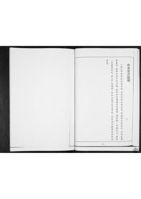 山东王氏-王氏族谱.pdf电子版预览图4