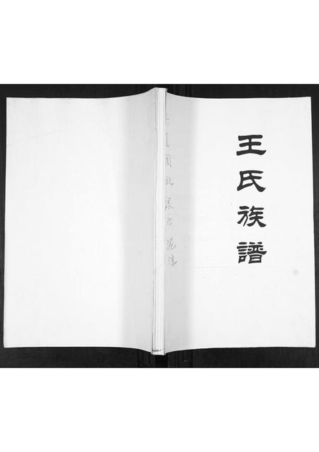 山东王氏-王氏族谱.pdf电子版缩略图
