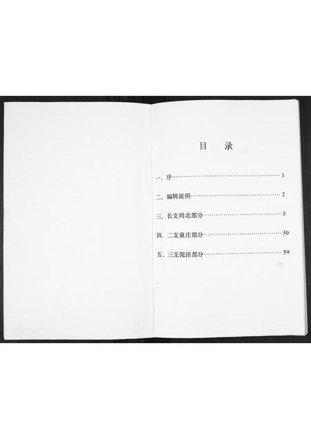 山东王氏-王氏族谱.pdf电子版预览图1