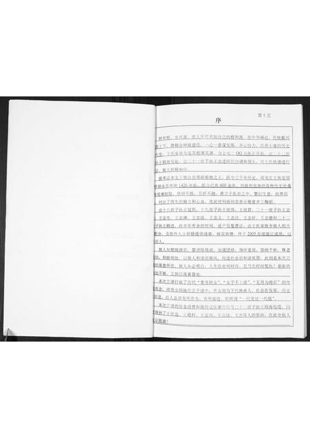 山东王氏-王氏族谱.pdf电子版预览图2