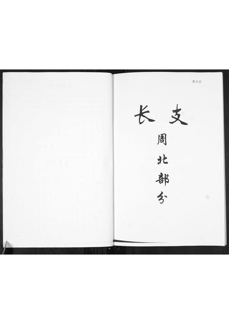 山东王氏-王氏族谱.pdf电子版预览图4