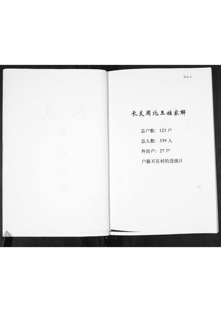山东王氏-王氏族谱.pdf电子版预览图5