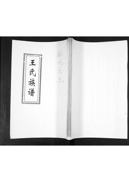 山东王氏-王氏族谱.pdf电子版缩略图