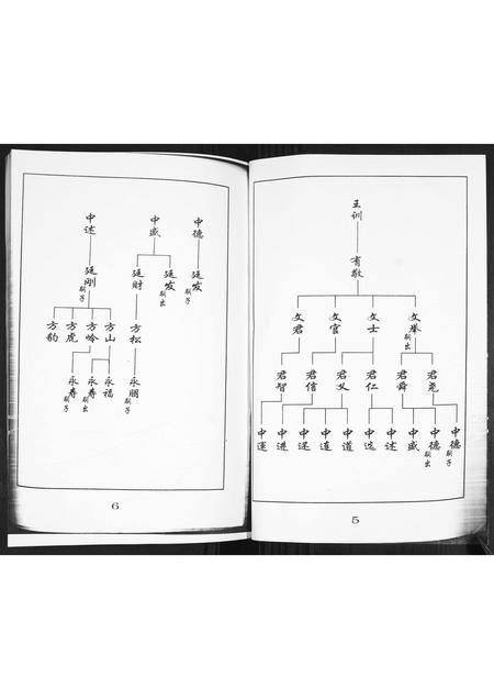 山东王氏-王氏族谱.pdf电子版预览图3