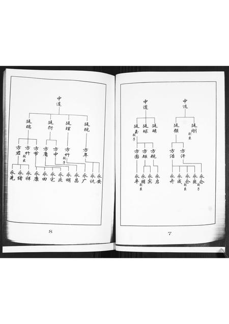 山东王氏-王氏族谱.pdf电子版预览图4