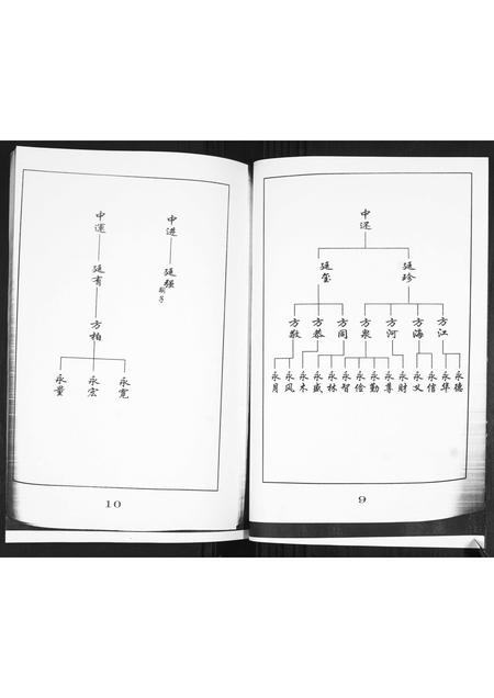 山东王氏-王氏族谱.pdf电子版预览图5