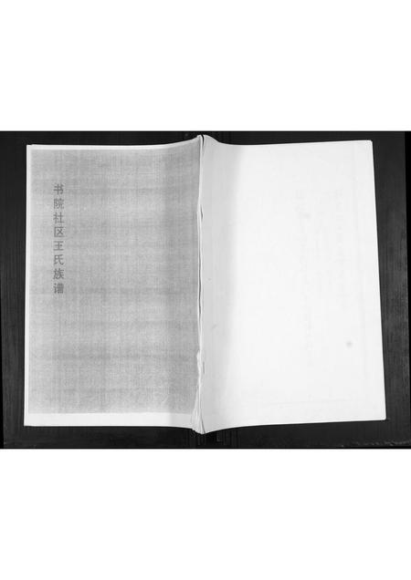 山东王氏-王氏族谱.pdf电子版缩略图