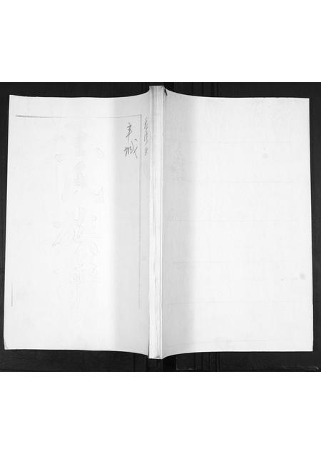 山东王氏-王氏族谱.pdf电子版缩略图