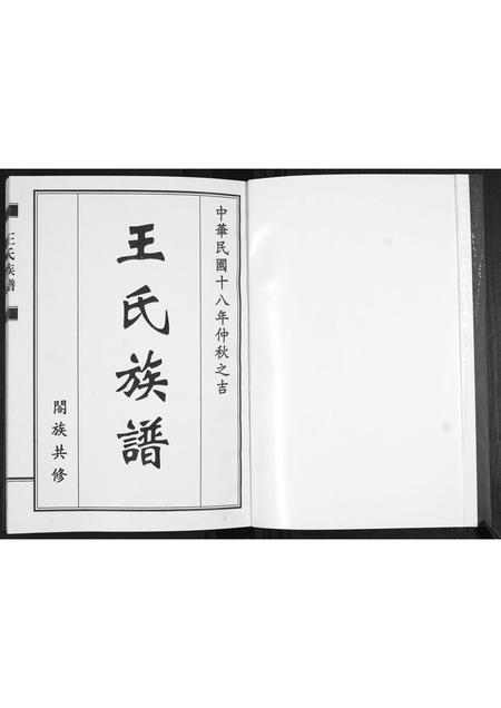 山东王氏-王氏族谱.pdf电子版预览图1