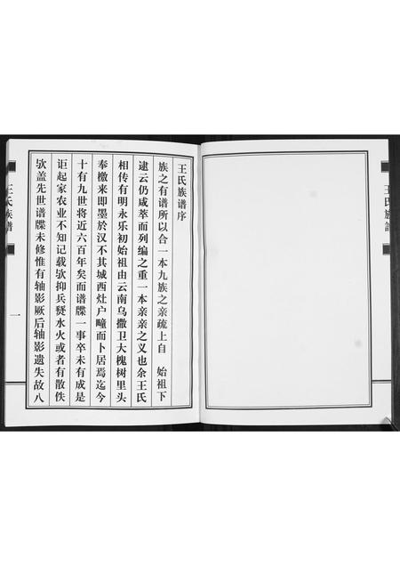 山东王氏-王氏族谱.pdf电子版预览图2