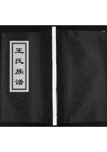 山东王氏-王氏族谱.pdf电子版缩略图
