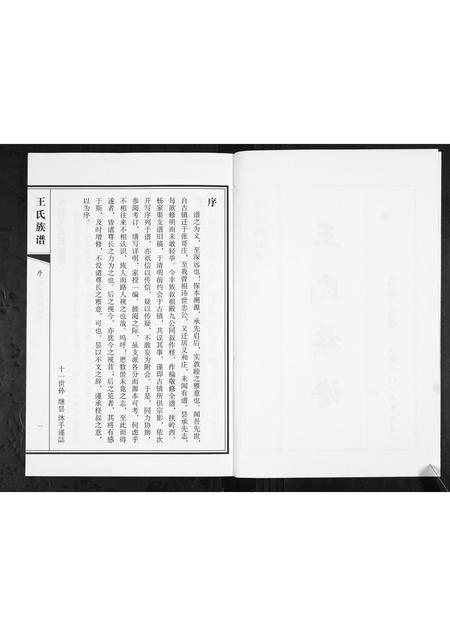 山东王氏-王氏族谱.pdf电子版预览图2