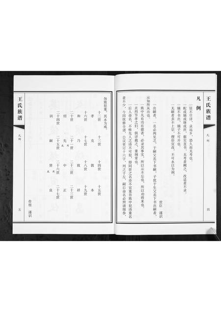 山东王氏-王氏族谱.pdf电子版预览图4