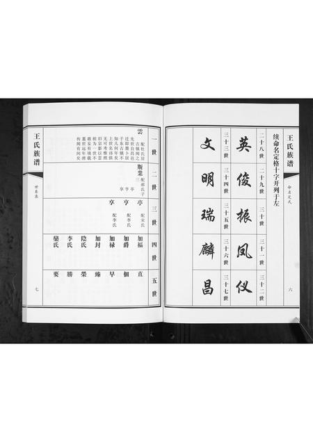 山东王氏-王氏族谱.pdf电子版预览图5