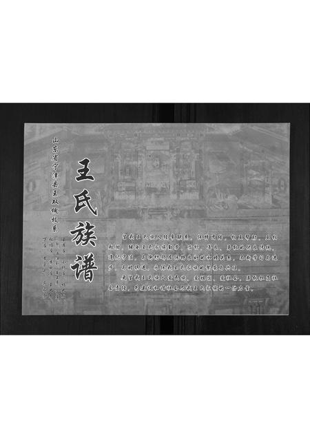 山东王氏-王氏族谱.pdf电子版缩略图