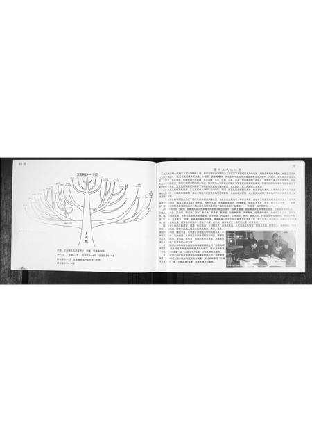 山东王氏-王氏族谱.pdf电子版预览图1