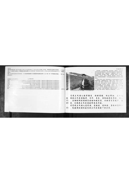 山东王氏-王氏族谱.pdf电子版预览图2