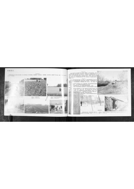 山东王氏-王氏族谱.pdf电子版预览图4