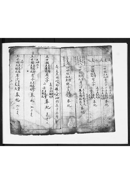 山东王氏-王氏族谱.pdf电子版预览图2