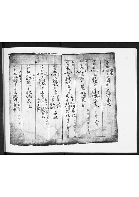 山东王氏-王氏族谱.pdf电子版预览图5