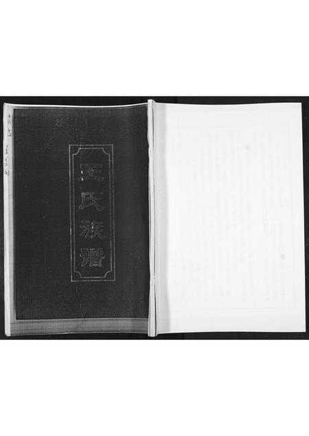 山东王氏-王氏族谱.pdf电子版缩略图