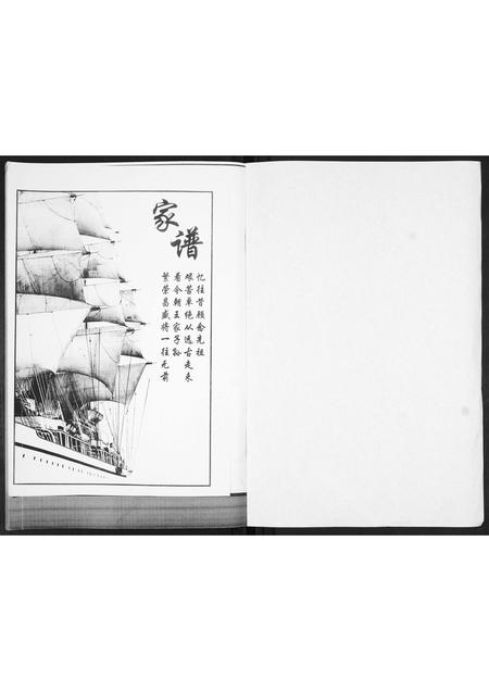 山东王氏-王氏族谱.pdf电子版预览图1