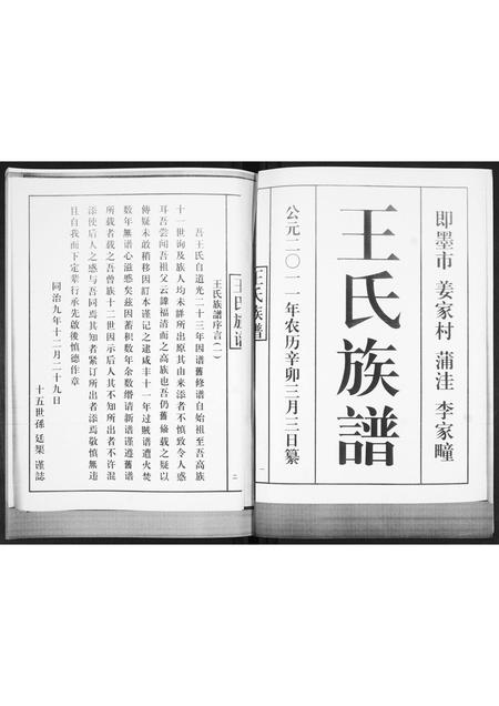 山东王氏-王氏族谱.pdf电子版预览图2