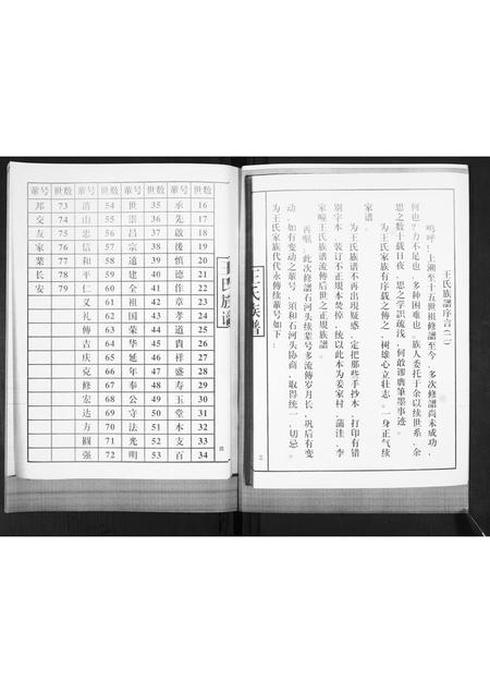 山东王氏-王氏族谱.pdf电子版预览图3