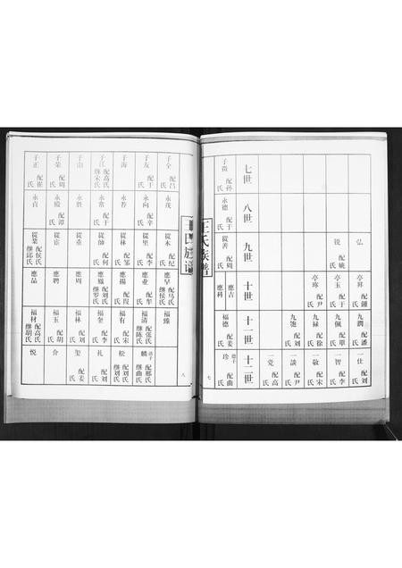 山东王氏-王氏族谱.pdf电子版预览图5