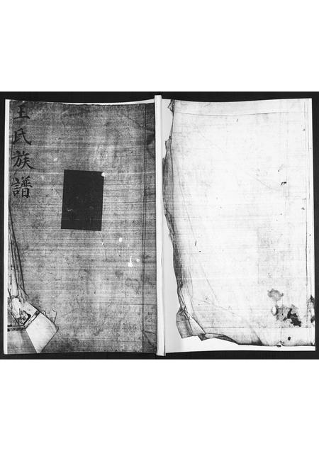 山东王氏-王氏族谱.pdf电子版缩略图