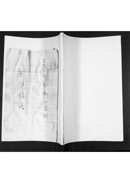 山东王氏-王氏族谱.pdf电子版缩略图