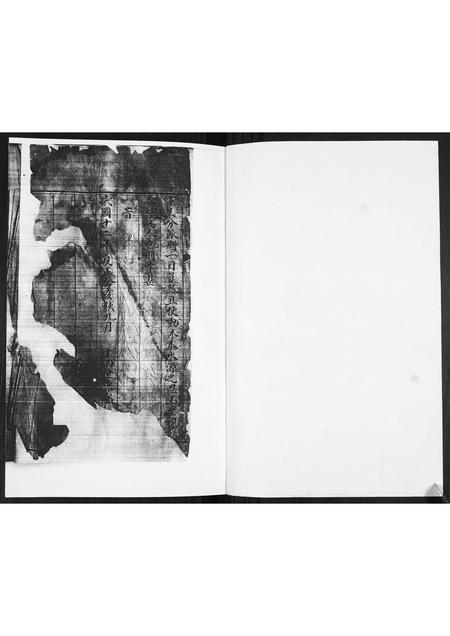 山东王氏-王氏族谱.pdf电子版预览图1