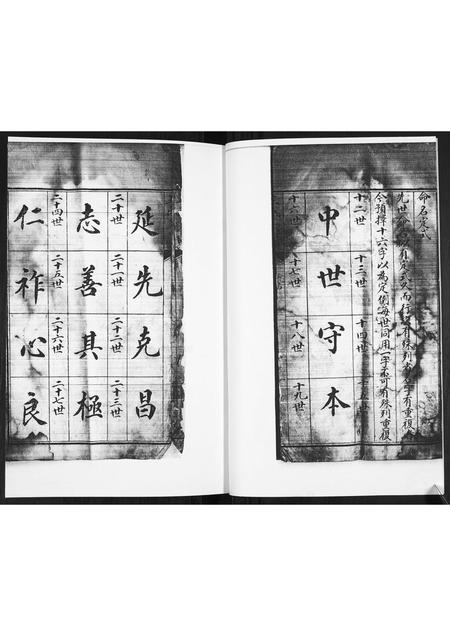 山东王氏-王氏族谱.pdf电子版预览图2