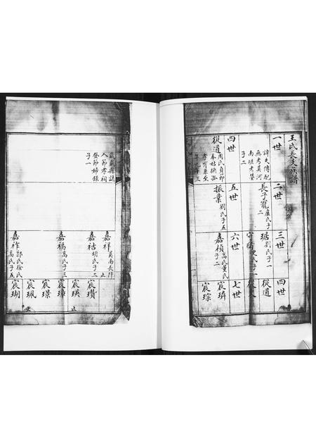 山东王氏-王氏族谱.pdf电子版预览图3